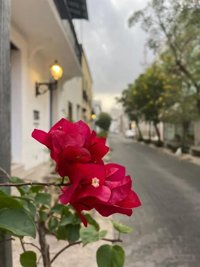 سانتو دومينجو Vbermor Hotel جمهورية الدومينيكان